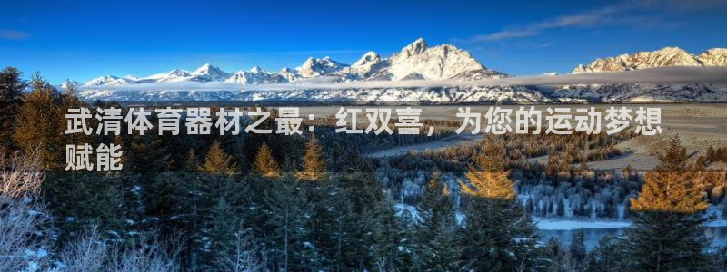 尊龙凯时代理官网入口