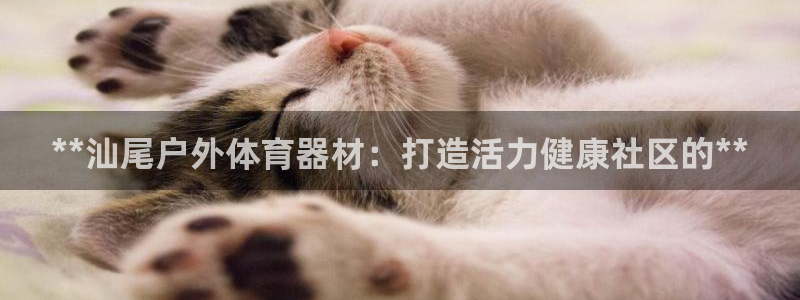 尊龙app最新版本官网