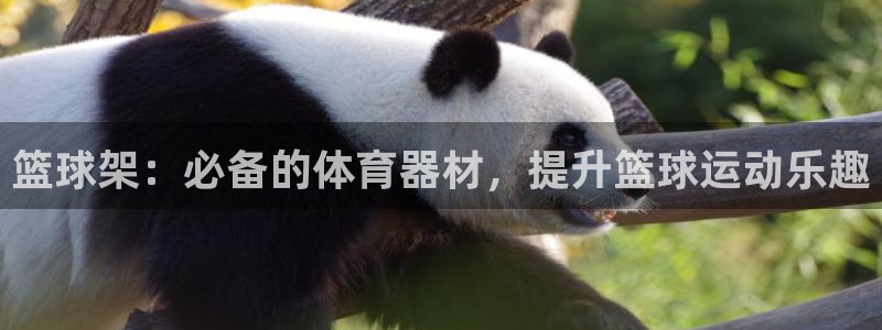 尊龙凯时ag旗舰厅官