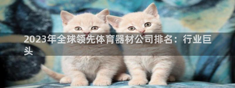 尊龙凯时是不是合法