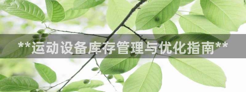 尊龙凯时和九游会哪个平台好一点