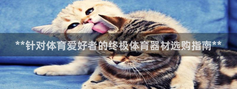 尊龙凯时平台还是万博好