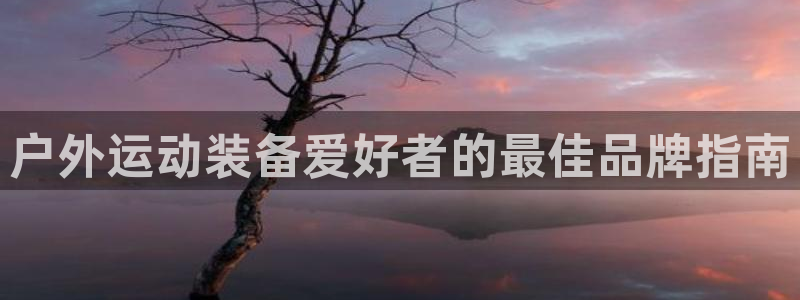 尊龙官网下载