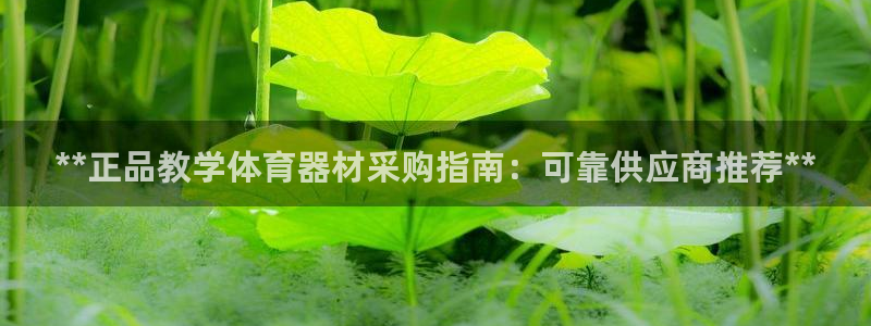 ag尊龙凯时官网