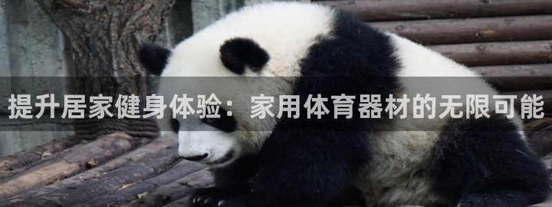 凯时APP官网首页
