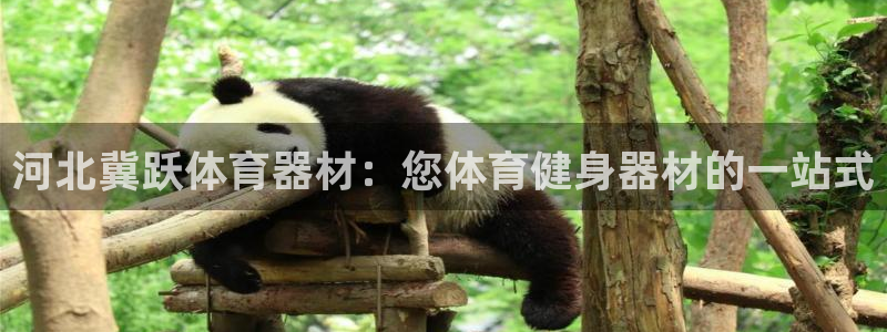 尊龙凯时网娱乐官网