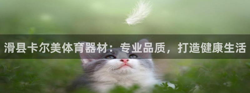 ag尊龙官方网站app