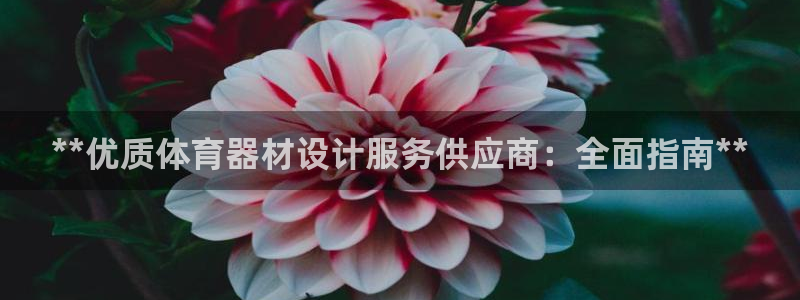 ag尊龙凯时集团