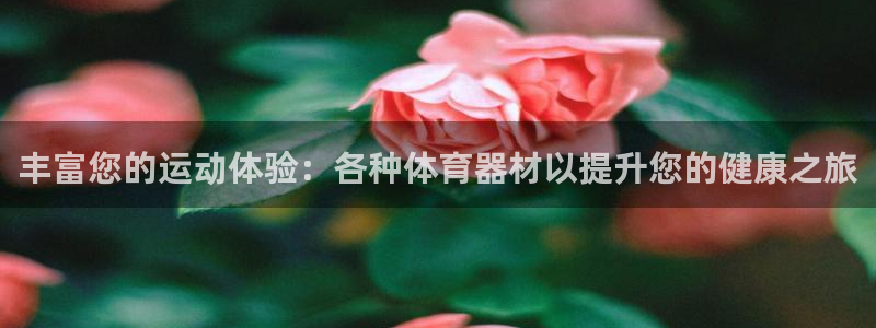 尊龙官网在哪里：丰富您的运动体验：各种体育器材以提升您的健康