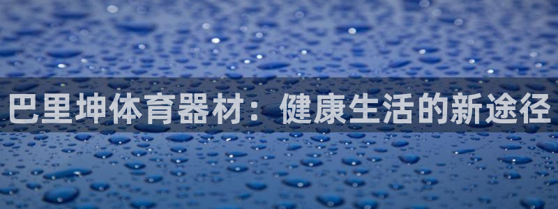 尊龙t600怎么样：巴里坤体育器材：健康生活的新途径