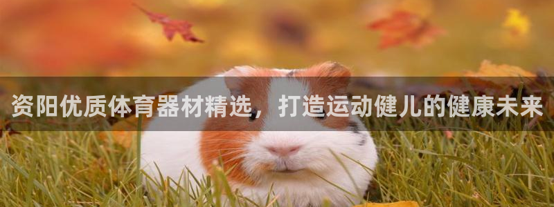 尊龙凯时干什么的：资阳优质体育器材精选，打造运动健儿的健康未