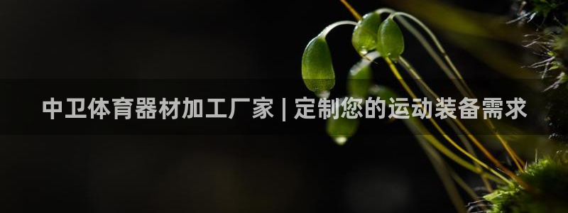 尊龙凯时取钱很慢