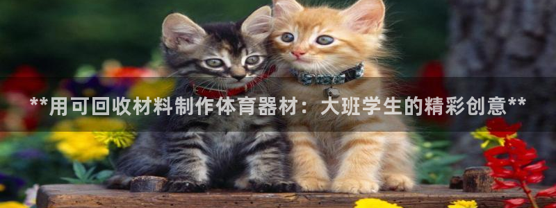 尊龙体育电竞官网