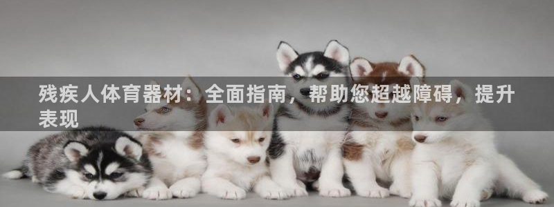 尊龙目前情况