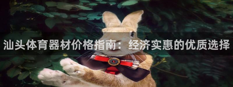 尊龙凯时充值不到账