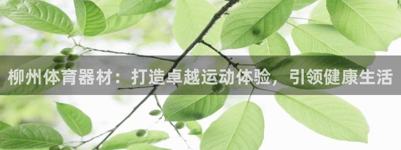 尊龙官网免费下载安装
