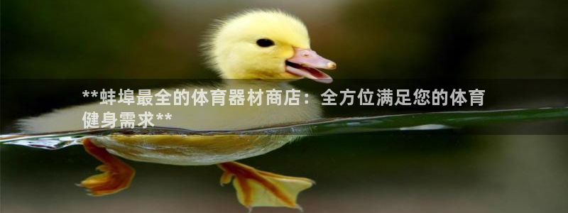 尊龙凯时白家乐Abb下载