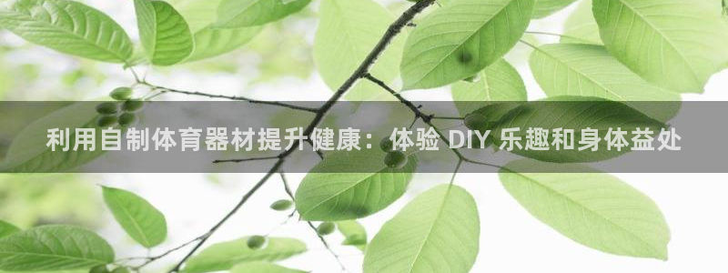 尊龙凯时人生就是搏官方网站：利用自制体育器材提升健康：体验 