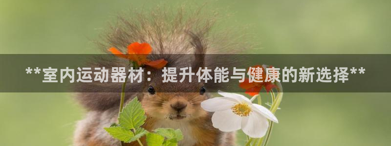 凯时kb88·中国官方网站