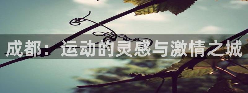 d88尊龙官网手机app
