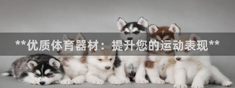 凯时网址多少