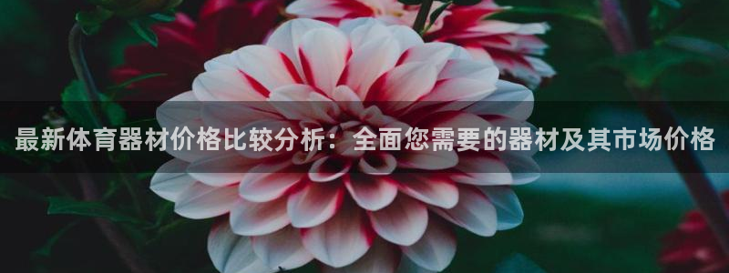 尊龙凯时能做退米么