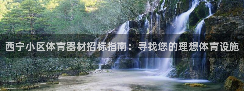 尊龙 国外