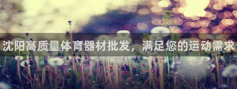 z6尊龙官网平台下载