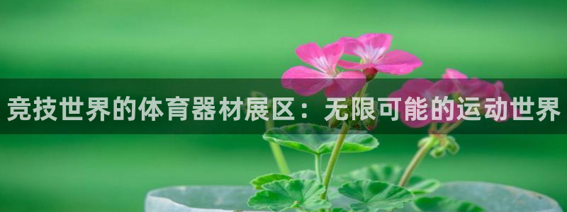 尊龙得过奥斯卡吗