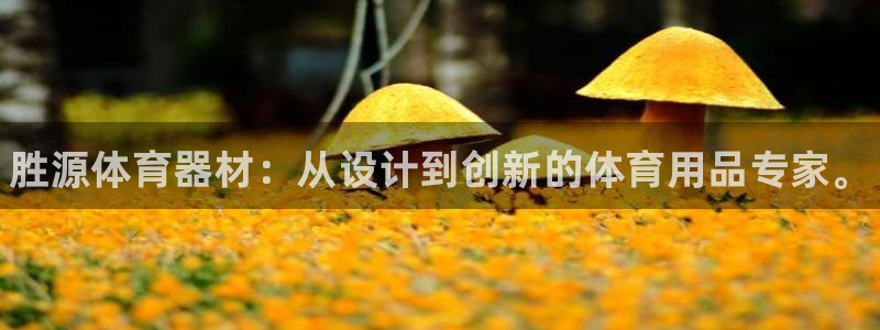 AG尊龙凯时注册：胜源体育器材：从设计到创新的体育用品专家。