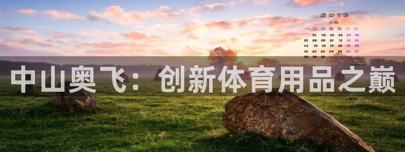 尊龙体育电竞官网