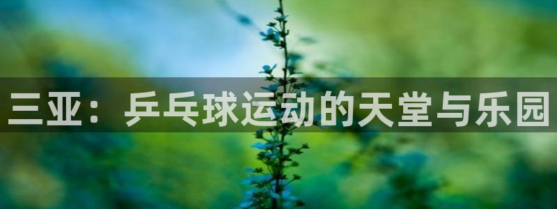 尊龙凯时是正规平台吗