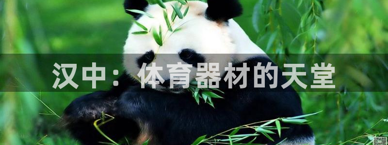 尊龙凯时ag旗舰厅官网客服