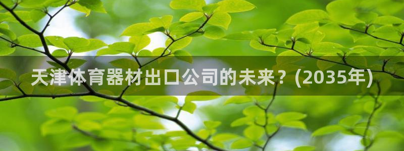 尊龙凯时注册入口：天津体育器材出口公司的未来？(2035年)