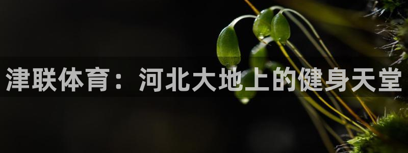 尊龙凯时注册入口：津联体育：河北大地上的健身天堂