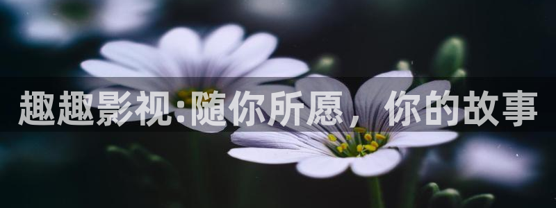 么么哒影院电视剧免费播放