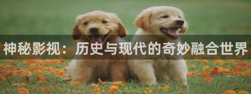 么么哒视频